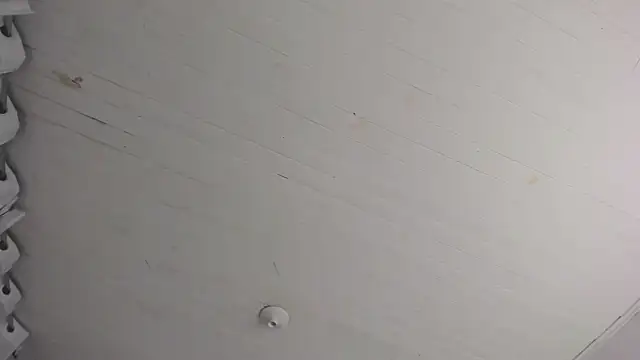 Snapshot of TiffanyWright chatting on November 29, 10:40 am TiffanyWright online show from November 29, 10:40 am