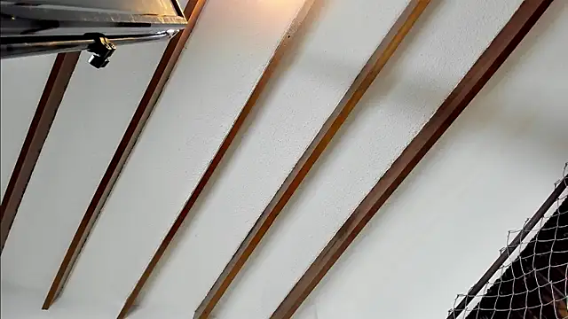 Beard xox online show from December 4, 1:47 am