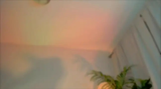  cherry bloss  online show from March 4, 12:29 am