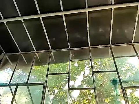 Snapshot of Milky_hairy_mommy chatting on September 15, 1:00 pm Milky hairy mommy online show from September 15, 1:00 pm