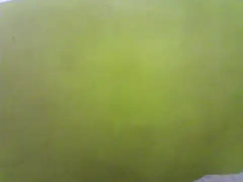 Claris2 online show from January 21, 6:34 pm