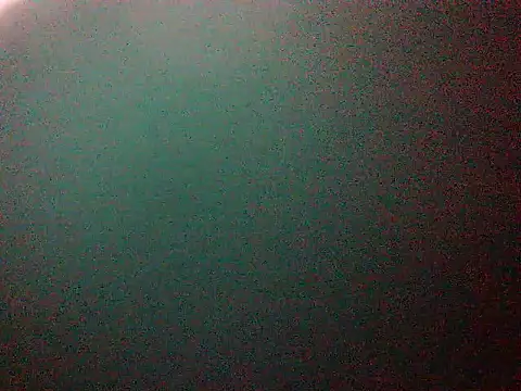 mumbi91 online show from January 11, 1:59 am