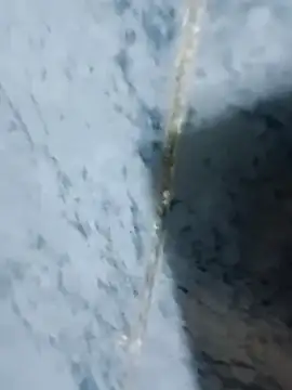 Chancho141414 online show from October 18, 2:03 am