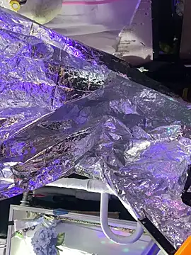 gurlnips online show from October 8, 6:05 pm