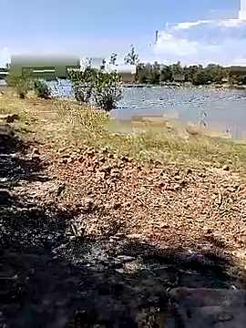 Snapshot of BaseDick chatting on September 24, 10:07 am BaseDick online show from September 24, 10:07 am