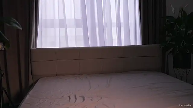 Faster maci online show from October 23, 7:29 am