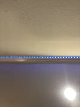 ThicBunz online show from March 16, 9:58 pm