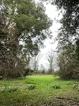 Alicia Hot1 online show from February 10, 2:05 pm