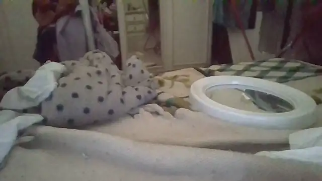 biuv online show from November 6, 11:11 am