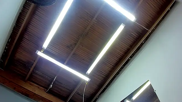 esteban cor online show from January 22, 6:42 am