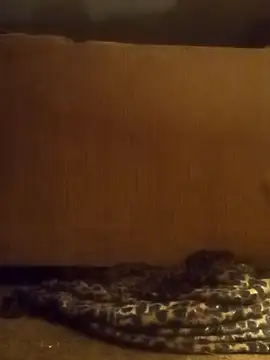 luke thighwalker2469 online show from February 8, 1:11 pm