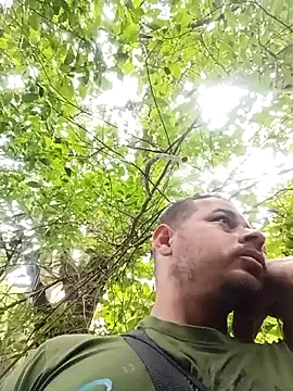 mis312 online show from December 16, 1:05 pm