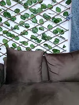 Snapshot of Bold-Cat chatting on December 5, 11:07 pm Bold-Cat online show from December 5, 11:07 pm