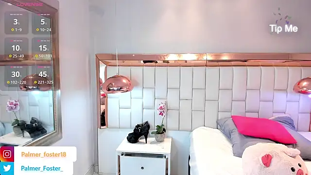 Palmer-Foster online show from March 17, 11:54 pm