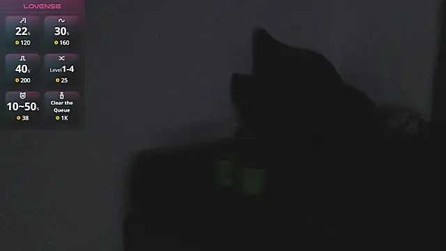 maxi rogger18 online show from December 21, 8:28 am