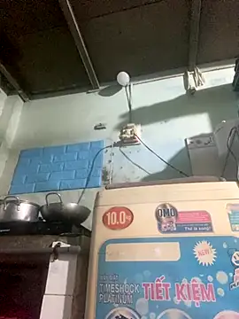 Ly Coca24 online show from October 30, 5:31 am