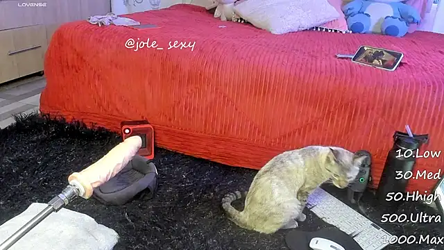 jolee   online show from January 10, 6:31 am