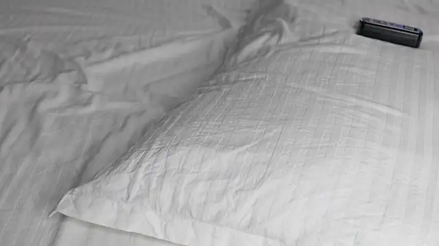 Snapshot of celestara chatting on December 20, 12:05 pm celestara online show from December 20, 12:05 pm