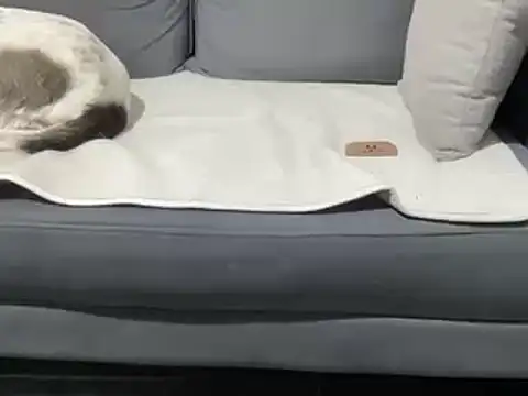 4small4inchlol online show from March 19, 11:25 pm