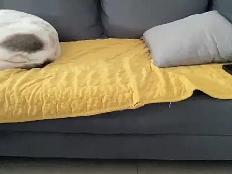 4small4inchlol online show from October 13, 10:48 am