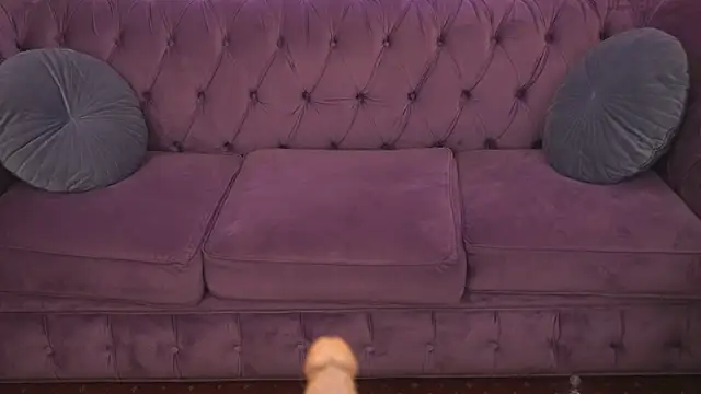 Daisy Delight online show from March 4, 4:27 am