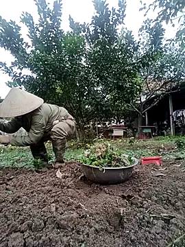 Fuckmehard2xx online show from February 23, 2:51 am