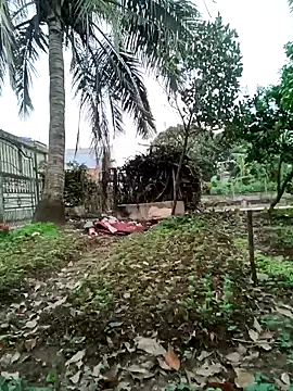 Fuckmehard2xx online show from March 9, 9:24 am