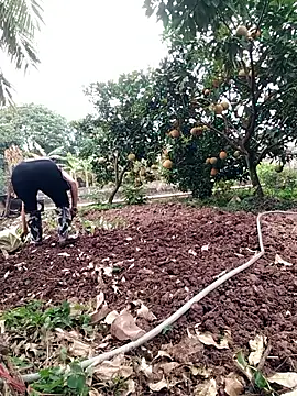 Fuckmehard2xx online show from December 4, 3:05 am