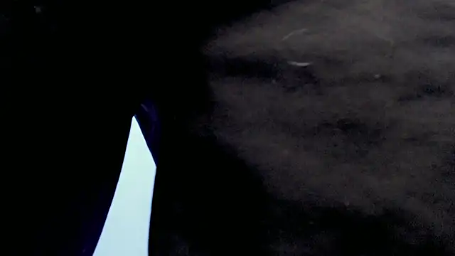 Jake tripp online show from September 27, 4:17 am