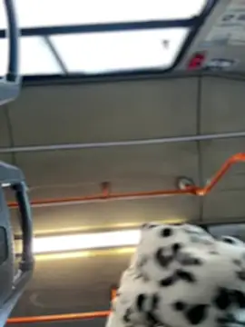 Milkyy wway online show from January 19, 7:36 am