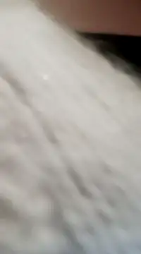 Snapshot of JAWHARA_ chatting on December 15, 8:04 pm JAWHARA online show from December 15, 8:04 pm