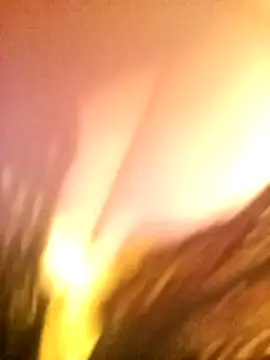 Snapshot of JAWHARA_ chatting on December 14, 10:03 pm JAWHARA online show from December 14, 10:03 pm