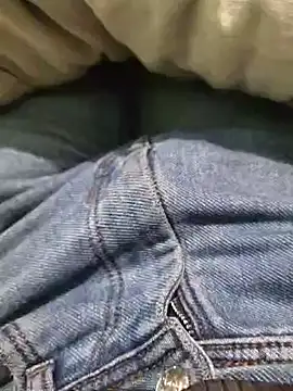 Snapshot of iaparna chatting on December 31, 2:25 pm iaparna online show from December 31, 2:25 pm