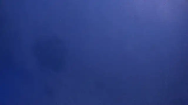 celestelewis online show from March 19, 7:49 pm