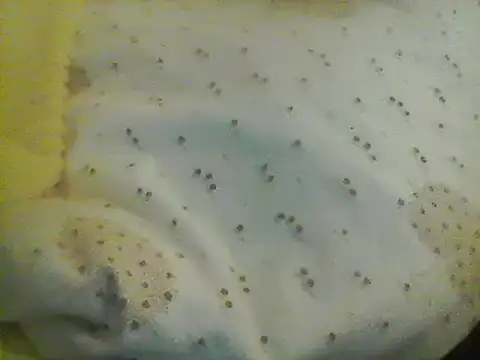 Bigpenis6y online show from January 24, 5:21 am