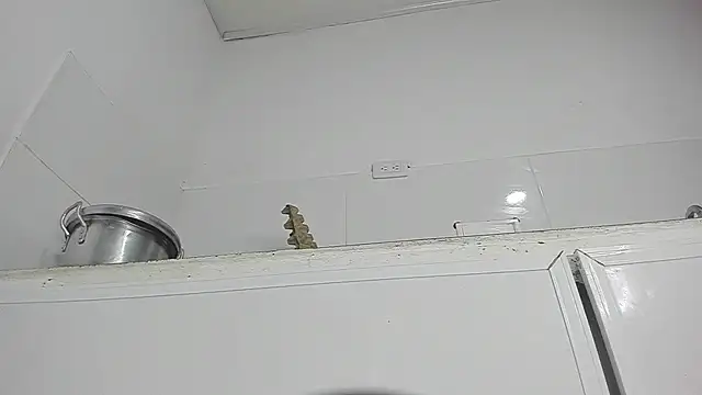 Sophie sweett19 online show from January 23, 3:37 am