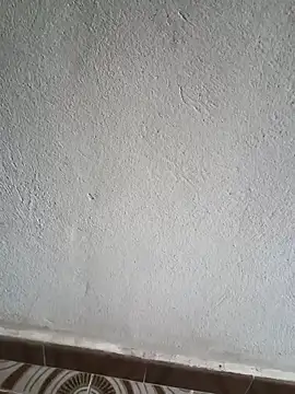 El baby12 online show from September 24, 4:21 pm