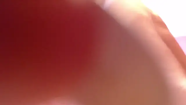 alana storm62 online show from November 13, 5:34 pm