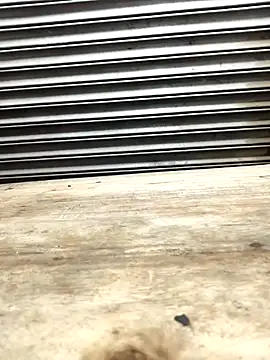 Bhabhi desi12 online show from November 9, 9:18 am