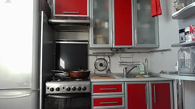 Snapshot of Kashtanka_ chatting on March 21, 6:49 am Kashtanka online show from March 21, 6:49 am