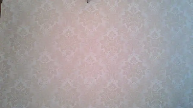 Snapshot of Kashtanka_ chatting on November 4, 8:57 am Kashtanka online show from November 4, 8:57 am