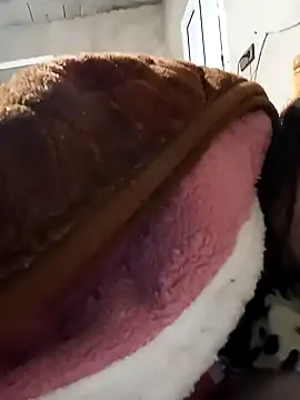 jijijoudia online show from January 25, 12:37 pm