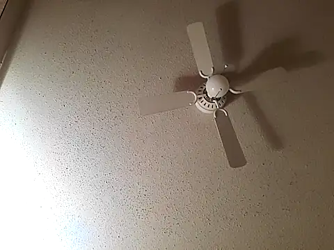 big8dall online show from October 22, 7:52 am