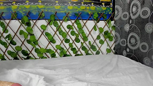 ANEVANS2 online show from January 13, 2:42 pm