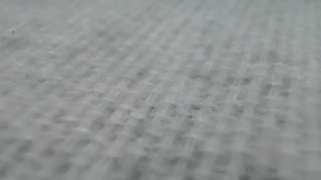  Zooee online show from January 27, 4:22 pm