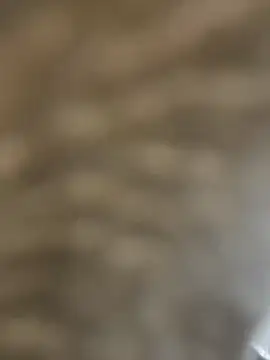 BhadBhad Kitty online show from February 14, 6:45 am