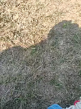 Gururonny07 online show from January 27, 7:45 am