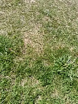 Gururonny07 online show from March 6, 7:57 am