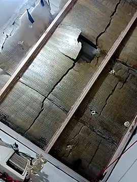 saraieevosarai online show from January 27, 5:58 am