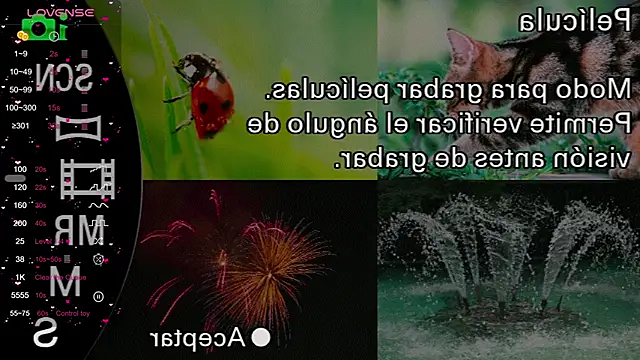 milly kenner online show from December 11, 4:53 pm